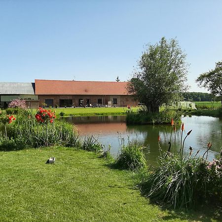 Chambre Coin Nature Fromelles Oda fotoğraf