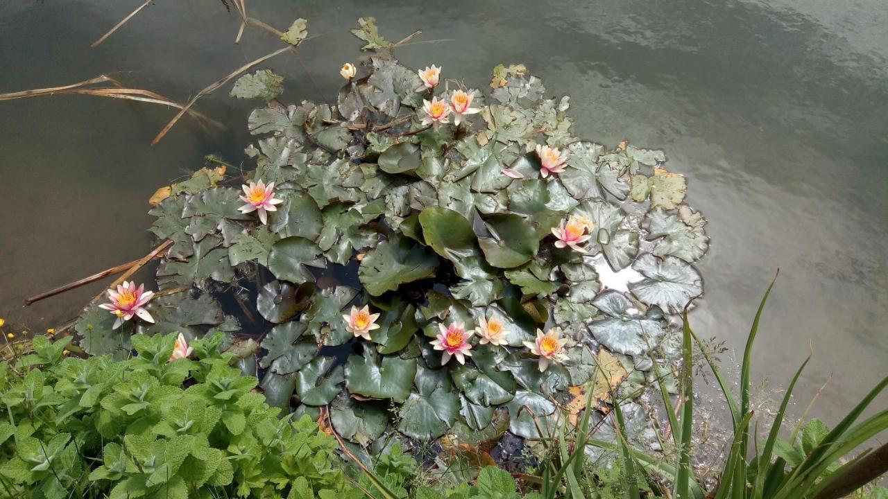 Chambre Coin Nature Fromelles Dış mekan fotoğraf