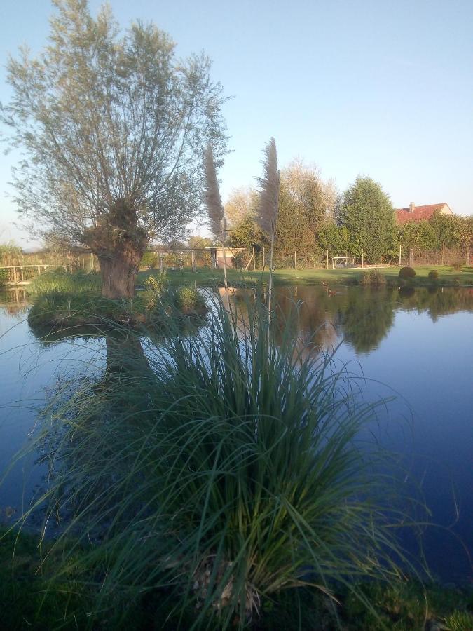 Chambre Coin Nature Fromelles Dış mekan fotoğraf
