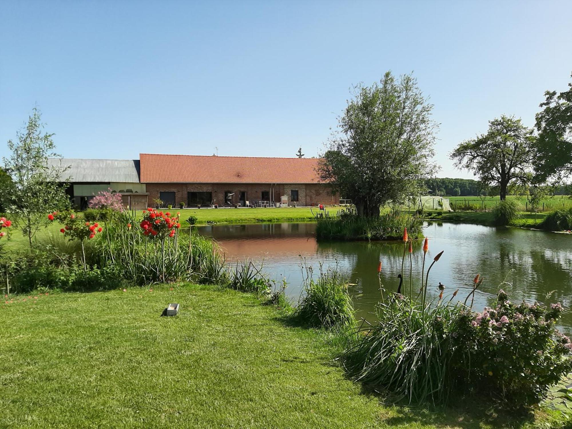 Chambre Coin Nature Fromelles Oda fotoğraf